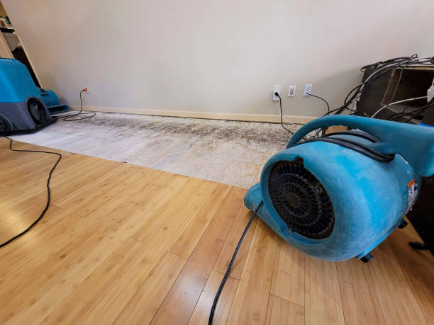 Professional Water Extraction technician working in Galeton, CO